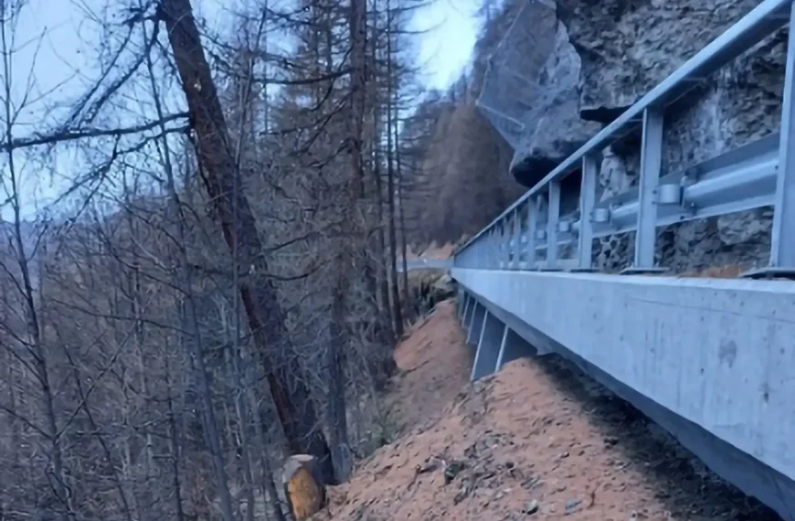 Viaduc en estacade de la Combe 1 et 2