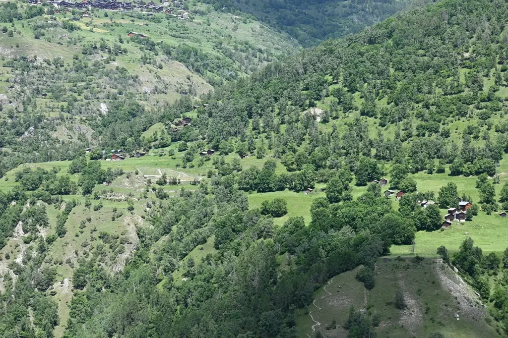 Tiefbau und Strassen PraIng